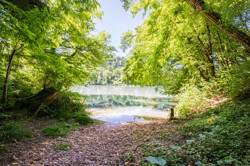 Natur 1