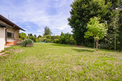 Garten2