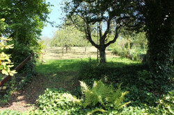 rückwärtiger Garten mit Steuobstwiese