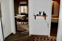 Flur mit Blick in Wohn-Schlafzimmer