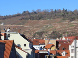 blick von Dachterrasse