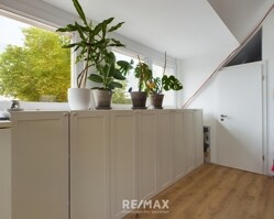 Zimmer DG