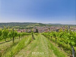Ansicht aus den Weinbergen