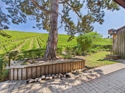 Garten / mit Blick in die Weinberge