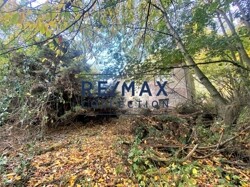 IMG_7407__
