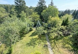 Blick in den Garten