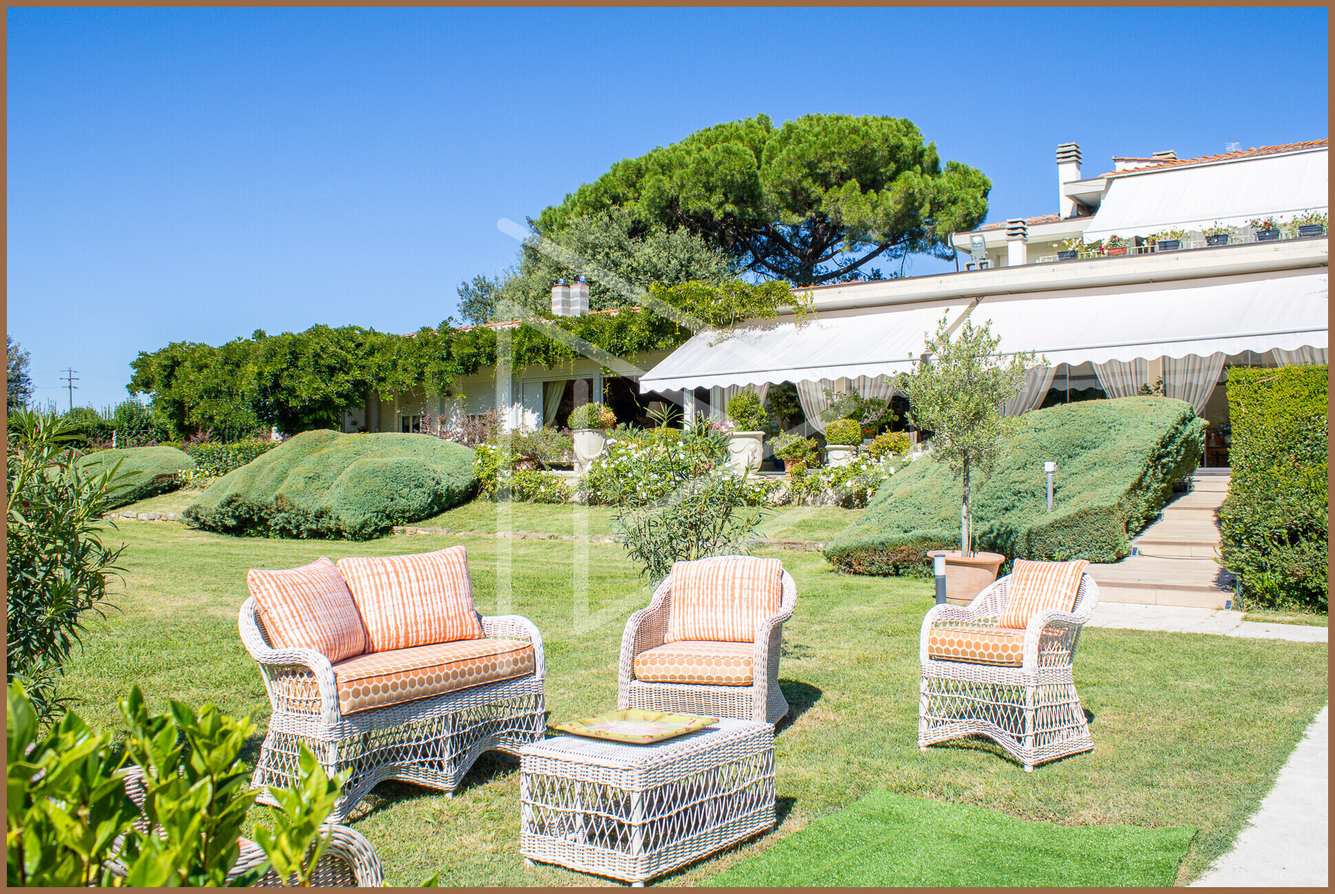 Foto nuove 2025Esportata3164