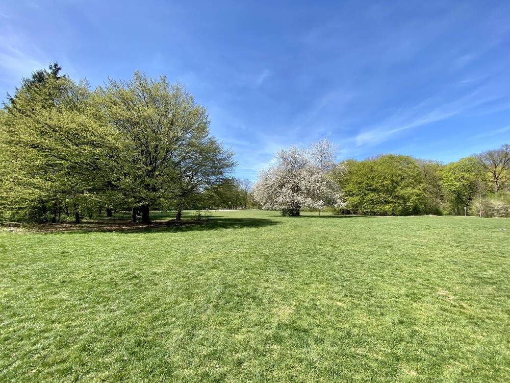 Hirschgarten
