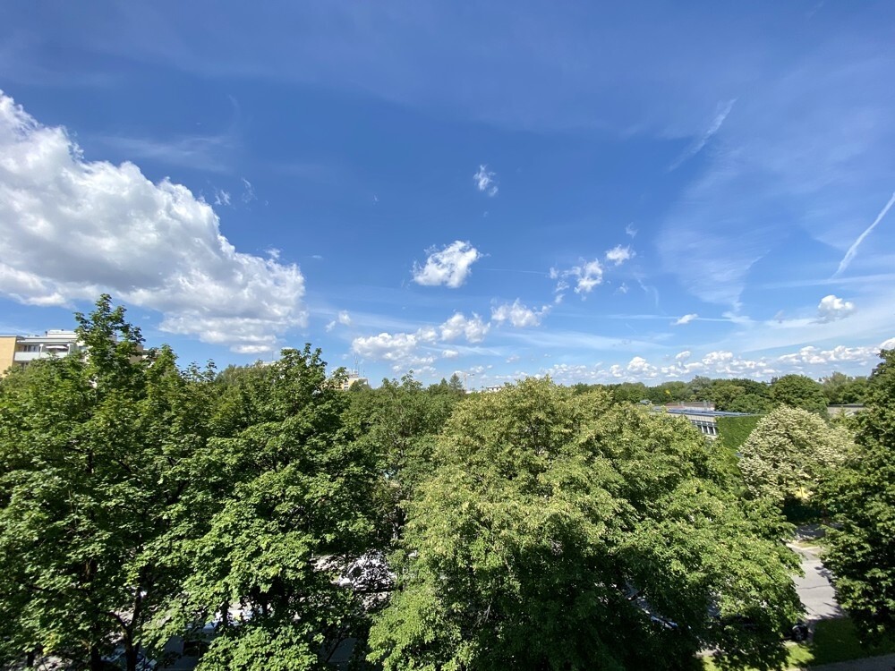 Ausblick.