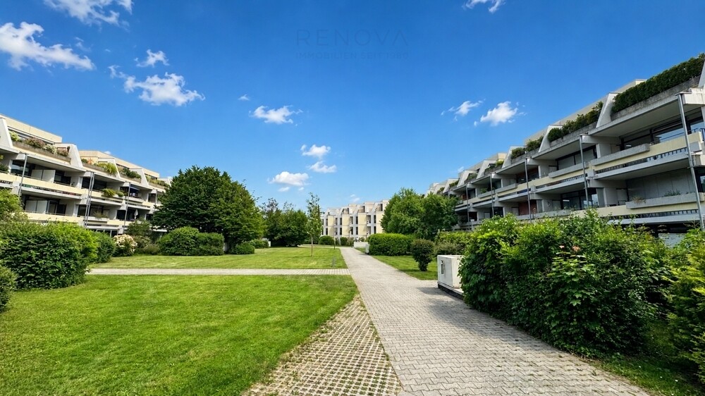 Alte Allee