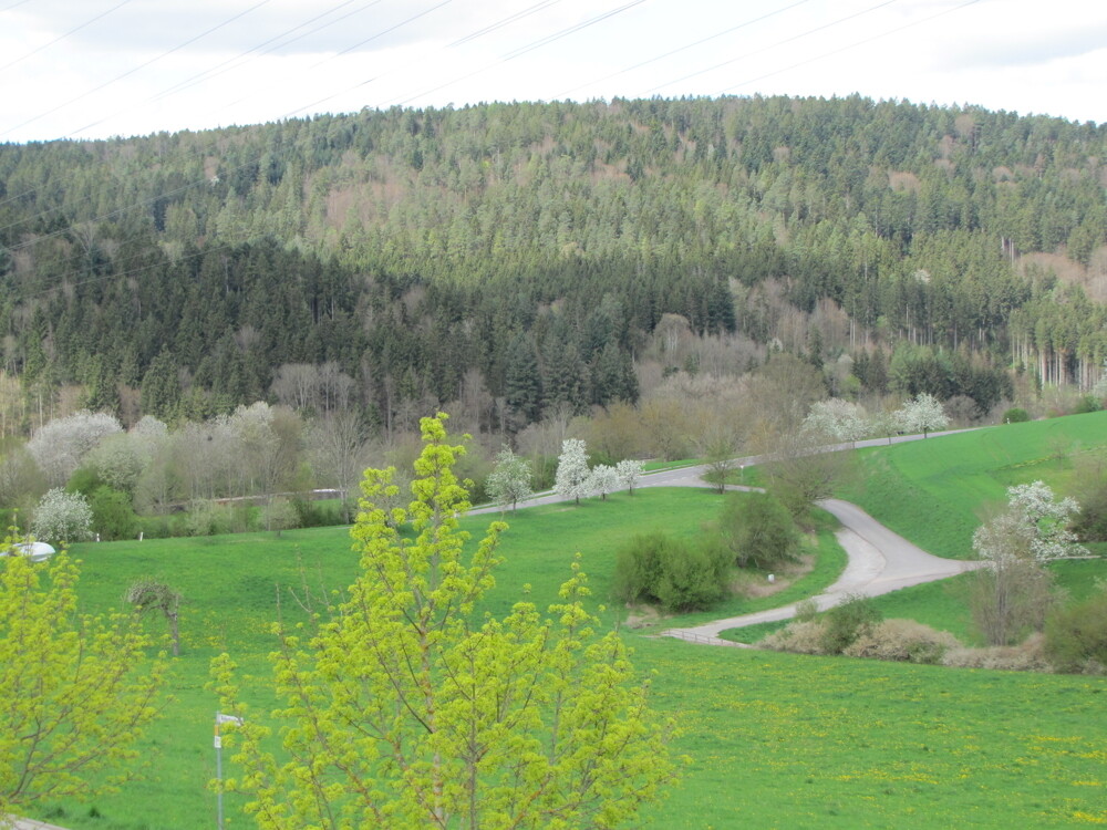 Blick von der Terrasse