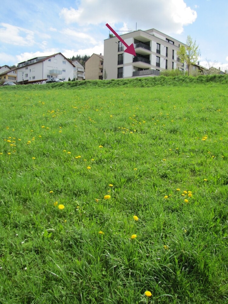 Das freistehende Haus