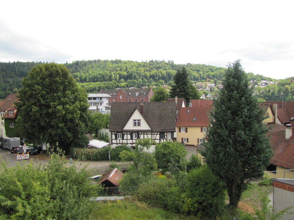 Blick vom Haus