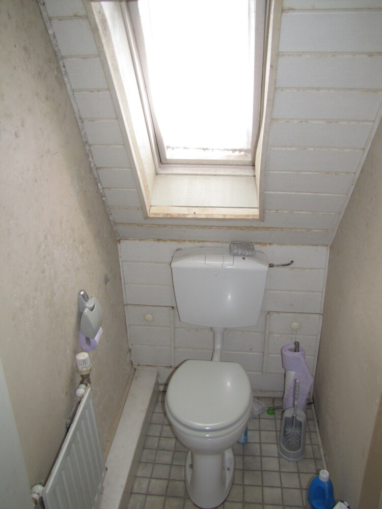 DG: WC
