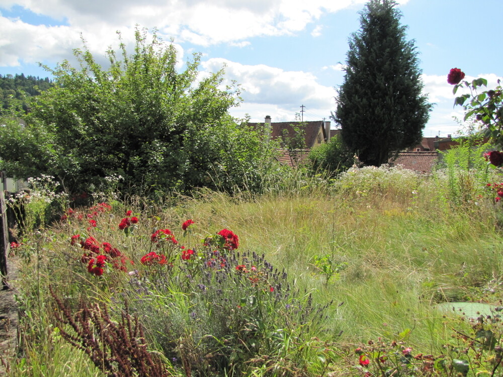 Der Garten
