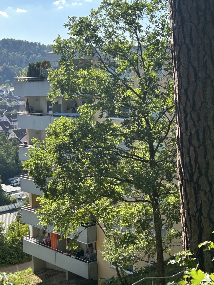 Ansicht des Hauses