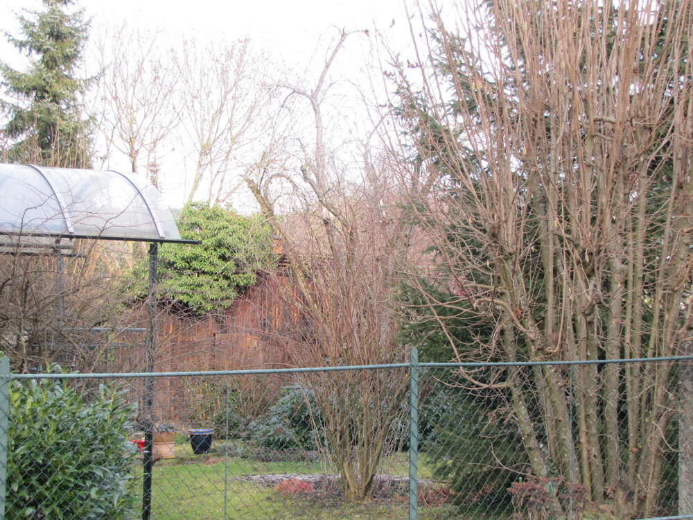 Der eingewachsene Garten