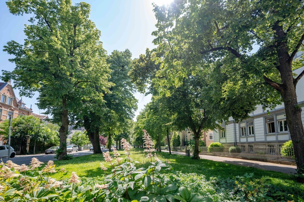 Eine parkähnliche Anlage liegt vor dem Gebäude
