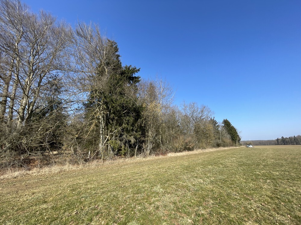 Einfache Erschließung möglich aber erforderlich