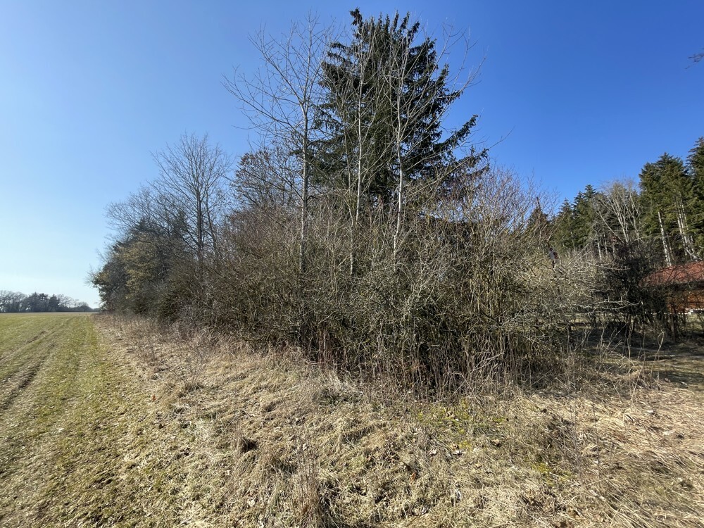 sehr kleine Feriensiedlung; Häuser unterkellert