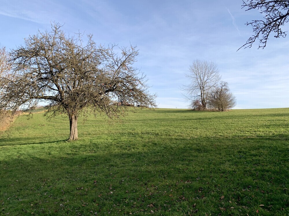 direkte Umgebung 