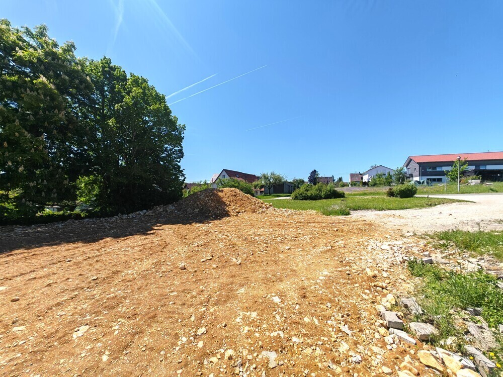 Blick Richtung Straße 