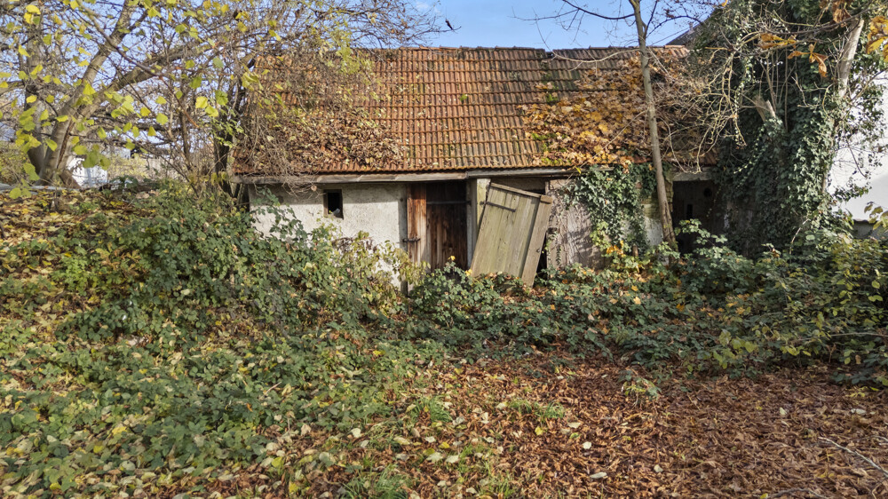 Immobilienbild