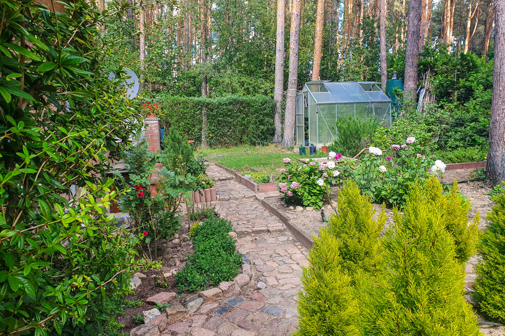 Blick in den Garten