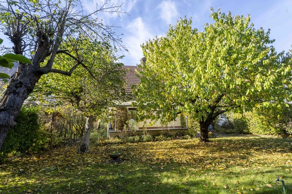 Der Garten