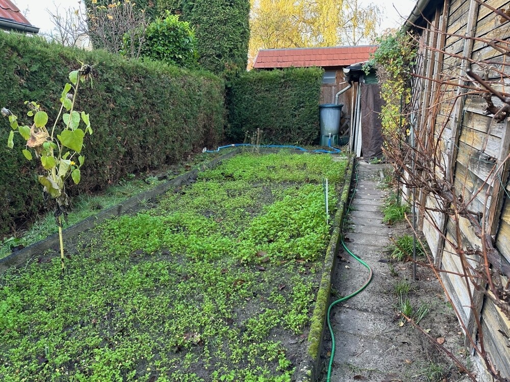 Immobilienbild