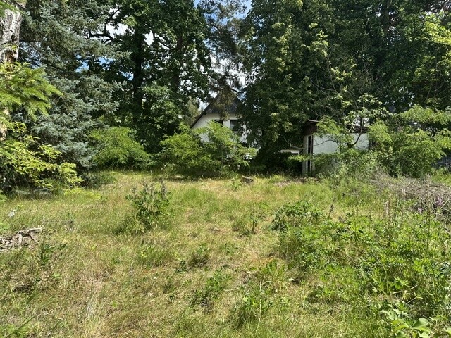 Immobilienbild