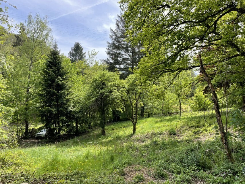IMG_7883 (Benutzerdefiniert)