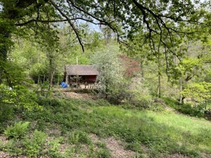 Blick zum Wochenendhaus (3)