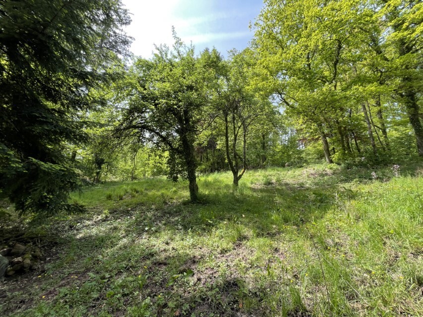Grundstück_unterer Bereich (4)