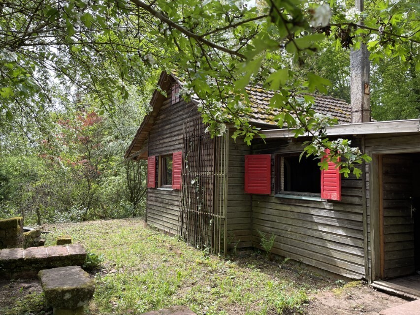 Wochenendhaus (1)