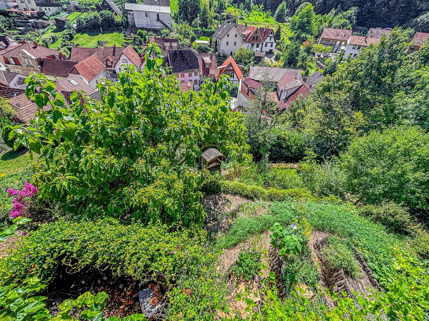 Garten