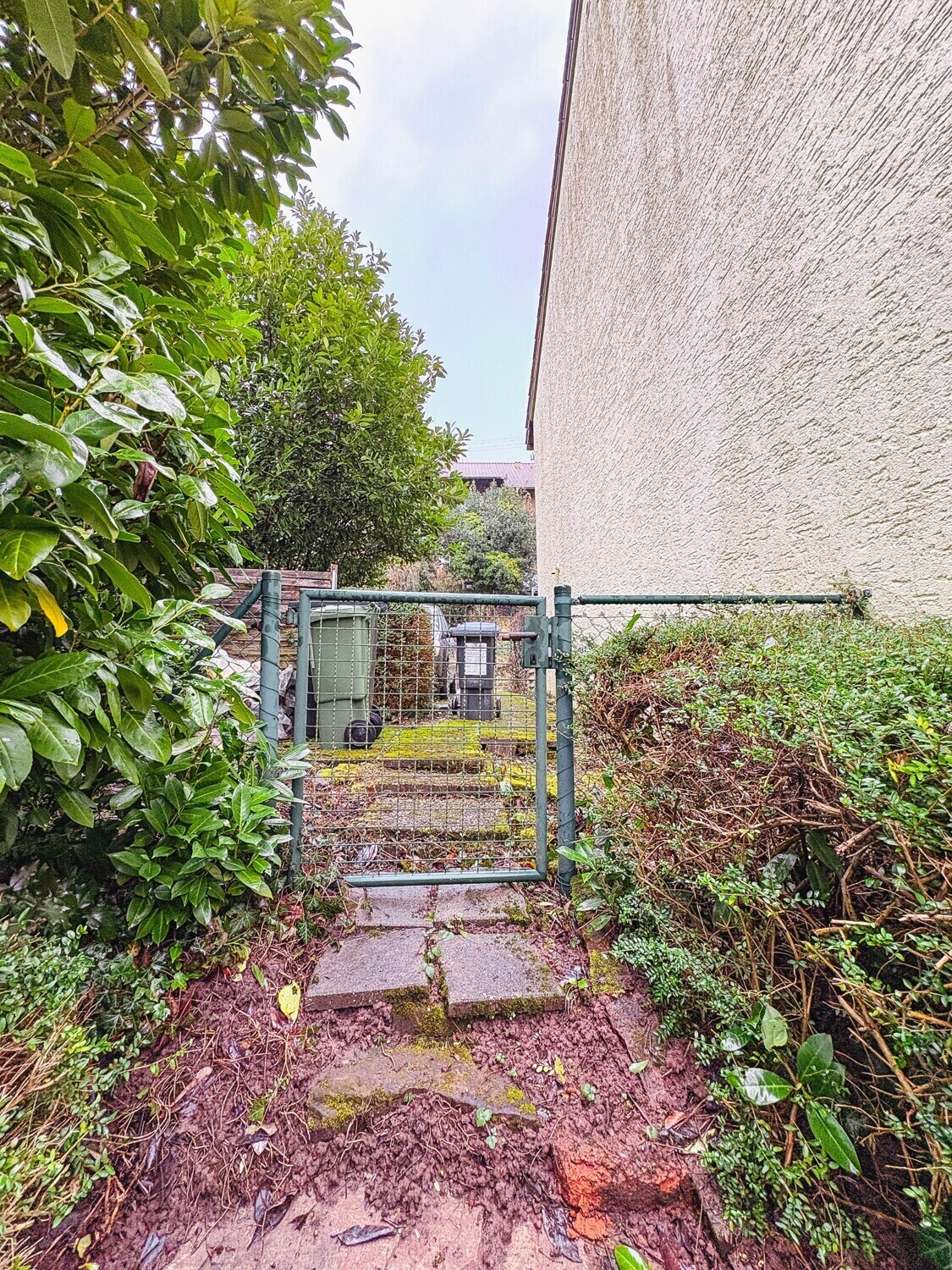 seitlicher Zugang Gartenzugang
