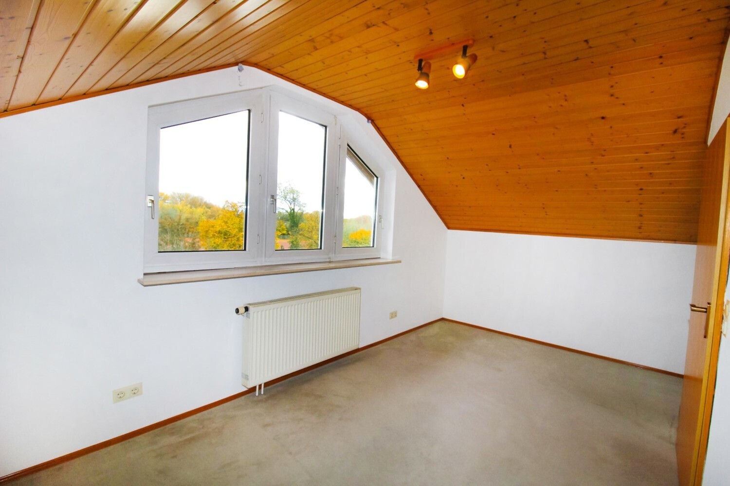 DG Büro Bild 2