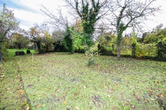 Garten Bild 1