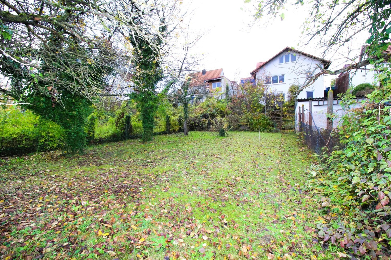 Garten Bild 6