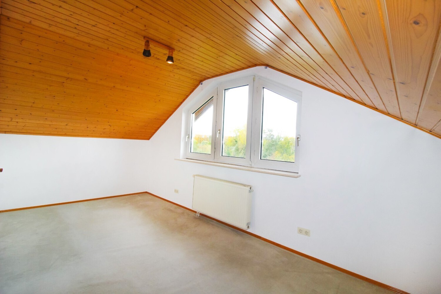 DG Büro Bild 4