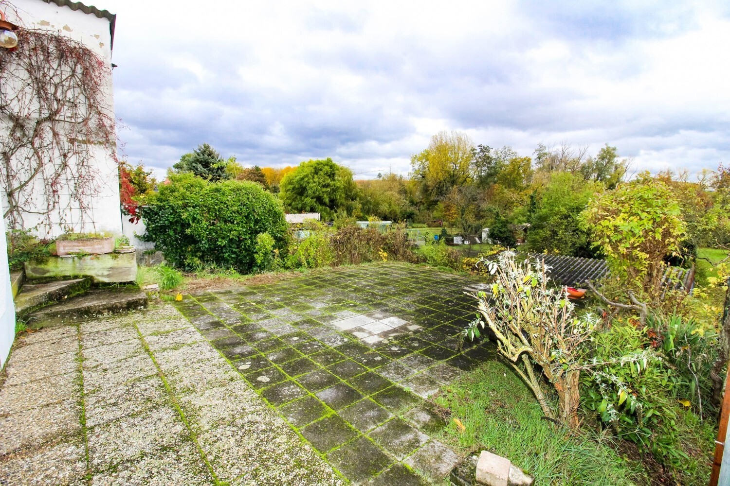 Terrasse Bild 1
