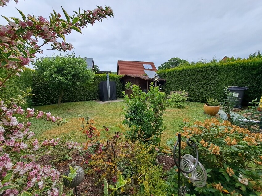 Blick in den Garten