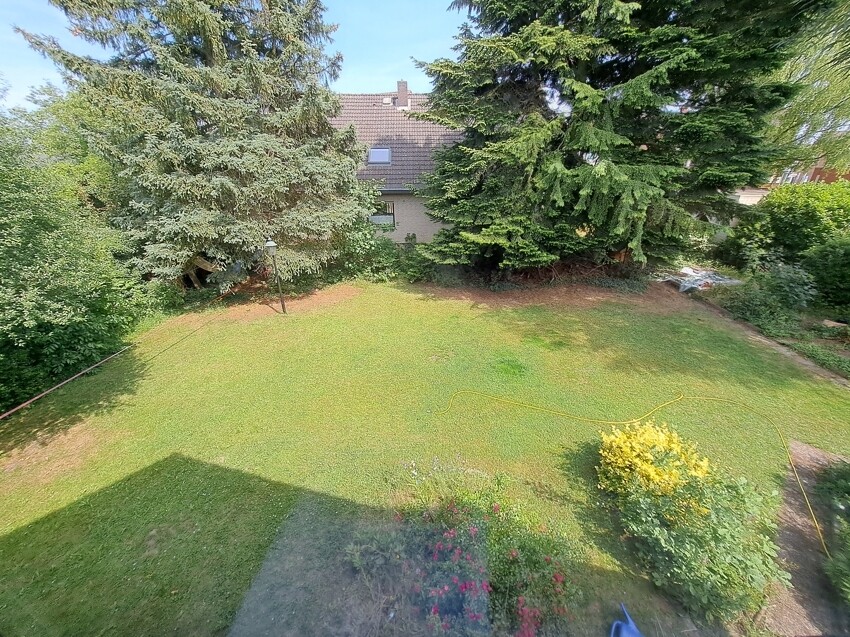Viel Platz im Garten