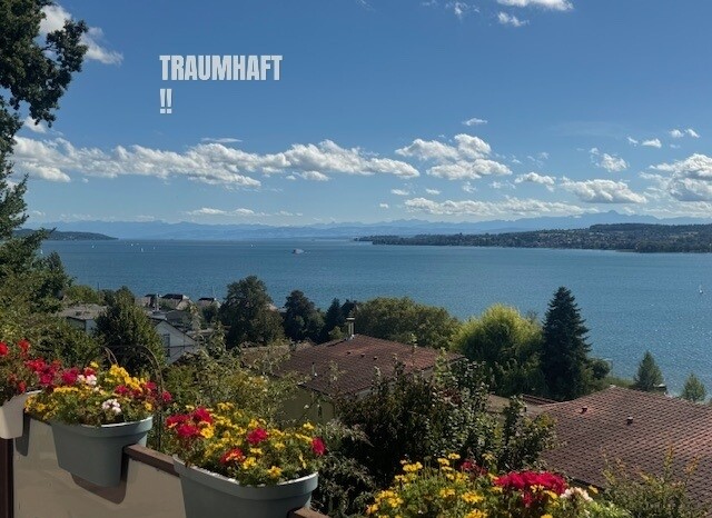 Real Estate Title Image Background