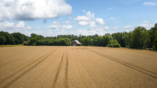 Landwirtschaftlicher Betrieb m. Eigenjagd ca. 110 ha