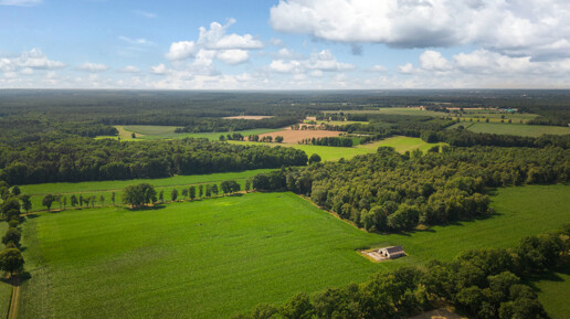 Forest and arable land with own hunting, approx. 110 ha