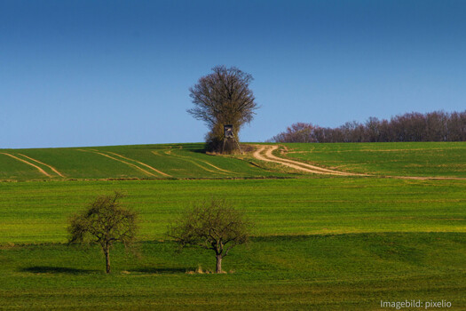Landwirtschaftlicher Betrieb, ca. 85 ha