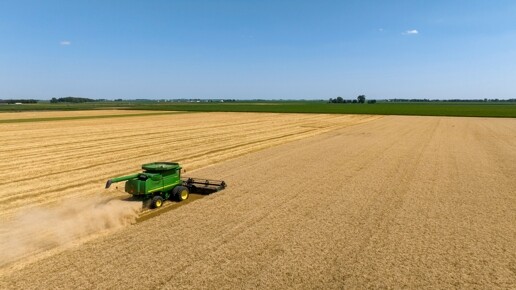 Landwirtschaftlicher Großbetrieb, ca. 3.000 ha