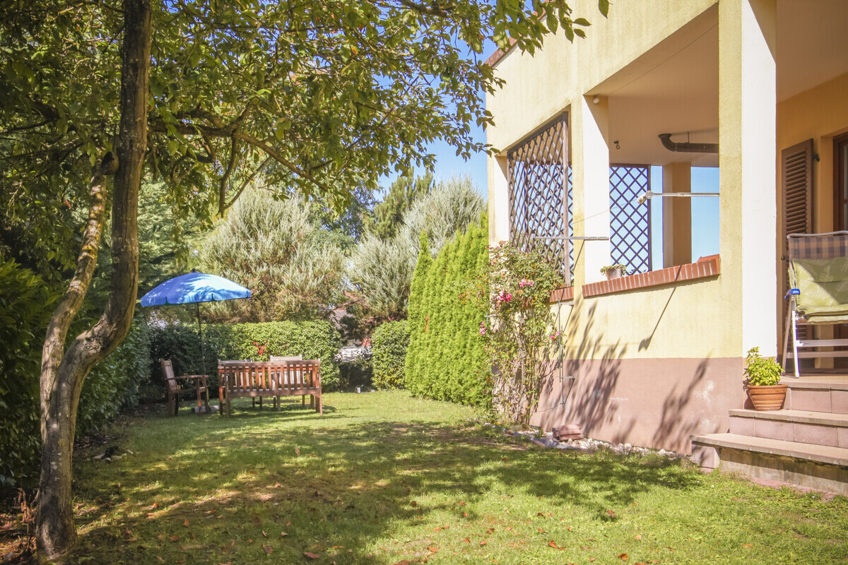 Blick in den Garten